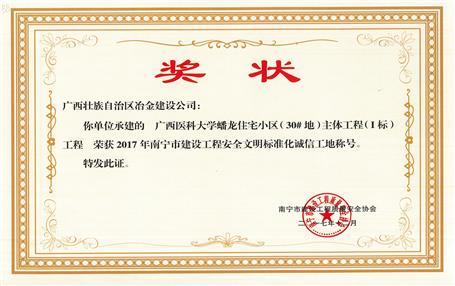 南寧分公司四個(gè)項(xiàng)目獲表彰！