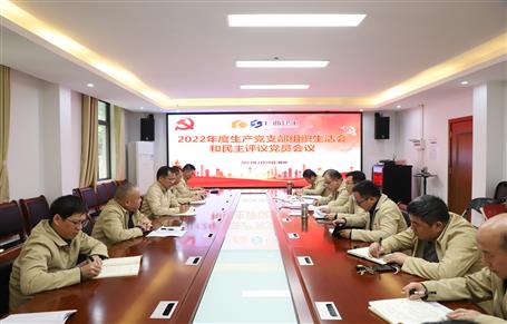 廖立波、唐峰、何勇以普通黨員身份參加所在黨支部2022年度組織生活會