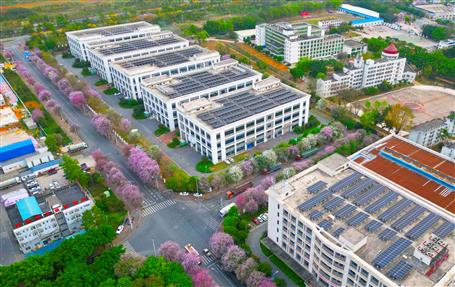 【實(shí)干筑夢·競賽爭鋒】冶建基礎(chǔ)分公司一光伏發(fā)電項(xiàng)目順利通過竣工驗(yàn)收